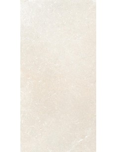 Carrelage 22.5x45.3x0.9 ITRIA Shapes Of It Caesar STR     2