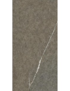 Carrelage 22.5x45.3x0.9 IULIA Shapes Of It Caesar STR