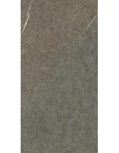 Carrelage 22.5x45.3x0.9 IULIA Shapes Of It Caesar STR     2