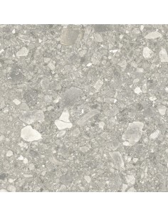 Carrelage 60x60x2 BRERA Portraits Caesar XT