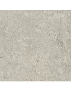 Carrelage 60x60x2 NEWPORT Portraits Caesar XT