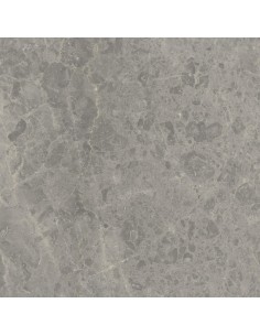 Carrelage 60x60x2 ROUEN Portraits Caesar XT