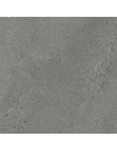 Carrelage 60x60x2 WELLS Portraits Caesar XT