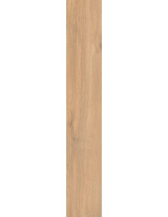 Carrelage 20x120x0.9 GLEE Cocoon Caesar NA     2