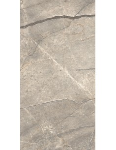 Carrelage 60x120x0.9 AMAZING SILV Anima Futura Caesar LU     2