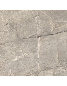 Carrelage 120x120x0.9 AMAZING SILV Anima Futura Caesar LU     2