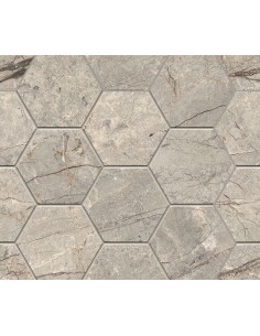 Décor Comp.E 28.5x33x0.9 AMAZING SILV Anima Futura Caesar LU
