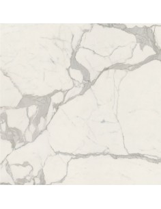 Carrelage 120x120x0.9 MAJESTIC WHI Anima Futura Caesar LU     2