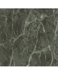 Carrelage 120x120x0.9 FOREST Anima Wonder Caesar LU