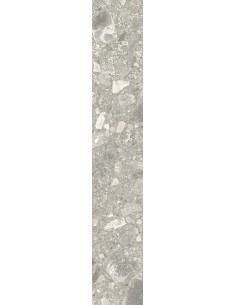 Carrelage 10x60x0.9 BRERA Portraits Caesar NA