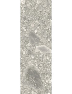 Carrelage 20x60x0.9 BRERA Portraits Caesar NA