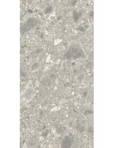 Carrelage 30x60x0.9 BRERA Portraits Caesar NA