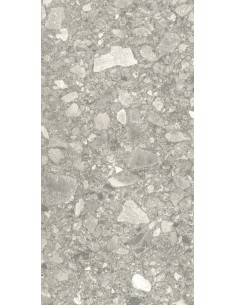 Carrelage 30x60x0.9 BRERA Portraits Caesar NA     2