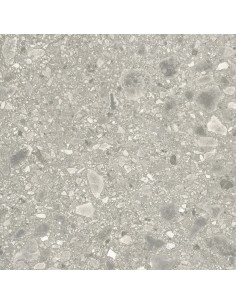 Carrelage 60x60x0.9 BRERA Portraits Caesar NA