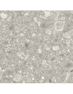 Carrelage 60x60x0.9 BRERA Portraits Caesar NA     2