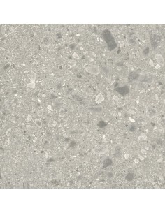 Carrelage 120x120x0.9 BRERA Portraits Caesar NA