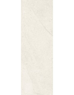 Carrelage 20x60x0.9 COMBLANCHIEN Portraits Caesar NA