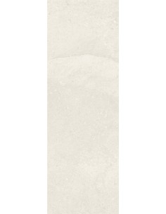Carrelage 20x60x0.9 COMBLANCHIEN Portraits Caesar NA     2