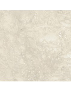 Carrelage 80x80x0.9 ERICE Portraits Caesar NA
