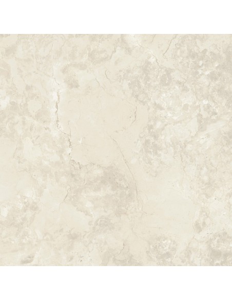 Carrelage 80x80x0.9 ERICE Portraits Caesar NA    