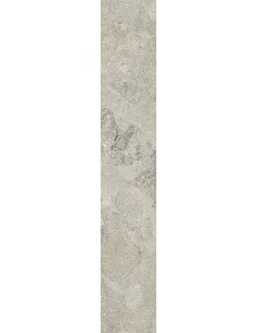 Carrelage 10x60x0.9 NEWPORT Portraits Caesar NA
