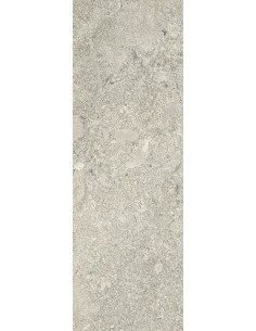 Carrelage 20x60x0.9 NEWPORT Portraits Caesar NA