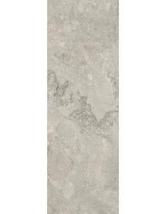 Carrelage 20x60x0.9 NEWPORT Portraits Caesar NA     2