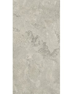 Carrelage 30x60x0.9 NEWPORT Portraits Caesar NA
