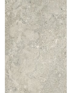 Carrelage 40x60x0.9 NEWPORT Portraits Caesar NA