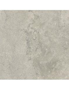 Carrelage 60x60x0.9 NEWPORT Portraits Caesar NA
