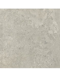 Carrelage 60x60x0.9 NEWPORT Portraits Caesar NA     2