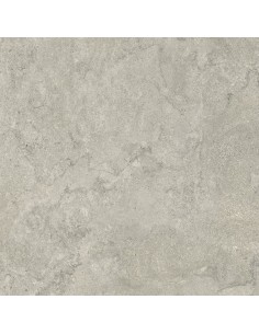 Carrelage 80x80x0.9 NEWPORT Portraits Caesar NA