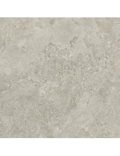 Carrelage 80x80x0.9 NEWPORT Portraits Caesar NA     2