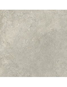 Carrelage 120x120x0.9 NEWPORT Portraits Caesar NA