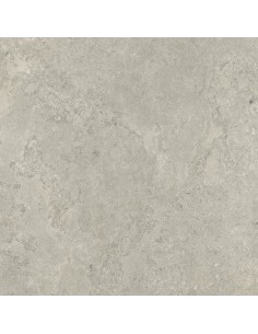 Carrelage 120x120x0.9 NEWPORT Portraits Caesar NA     2