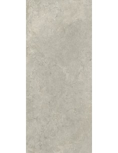 Carrelage 120x278x0.6 NEWPORT Portraits Caesar NA
