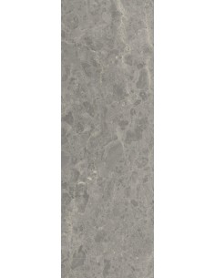 Carrelage 20x60x0.9 ROUEN Portraits Caesar NA     2