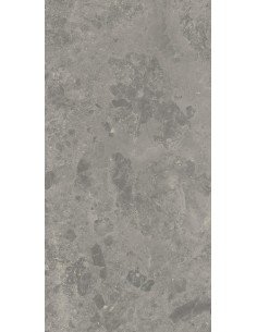 Carrelage 30x60x0.9 ROUEN Portraits Caesar NA