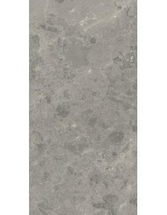 Carrelage 30x60x0.9 ROUEN Portraits Caesar NA     2