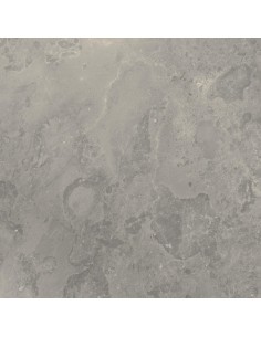 Carrelage 60x60x0.9 ROUEN Portraits Caesar NA     2