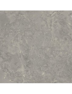 Carrelage 120x120x0.9 ROUEN Portraits Caesar NA     2