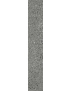 Carrelage 10x60x0.9 WELLS Portraits Caesar NA