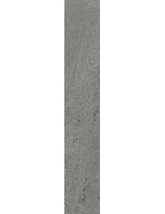 Carrelage 10x60x0.9 WELLS Portraits Caesar NA     2