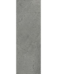 Carrelage 20x60x0.9 WELLS Portraits Caesar NA