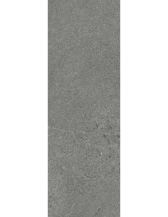 Carrelage 20x60x0.9 WELLS Portraits Caesar NA     2