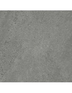 Carrelage 60x60x0.9 WELLS Portraits Caesar NA