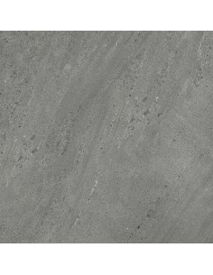 Carrelage 60x60x0.9 WELLS Portraits Caesar NA     2