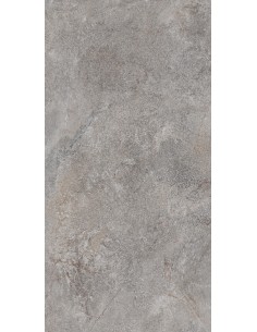 Carrelage 30x60x0.8 TITANIO Eikon Caesar NA     2