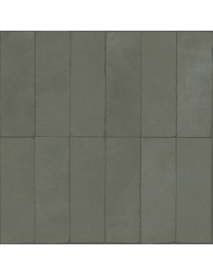 Décor Comp.S.Soft 29x29x0.9 LEAD Prima Caesar SO