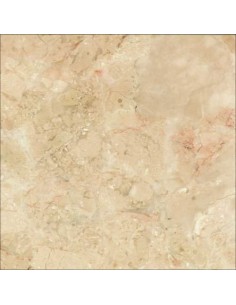 DALLE GOLDEN CREAM